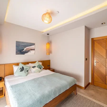 Moyo Luxury & ホテル