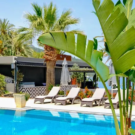 ホテル Moyo Luxury & 3*