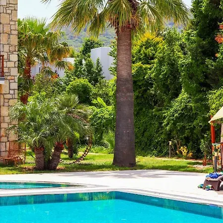 Moyo Luxury & ホテル 3*