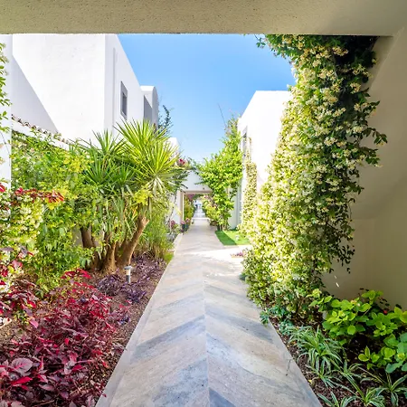 Moyo Luxury & ホテル