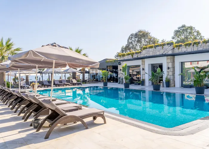 Moyo Luxury & Bodrum