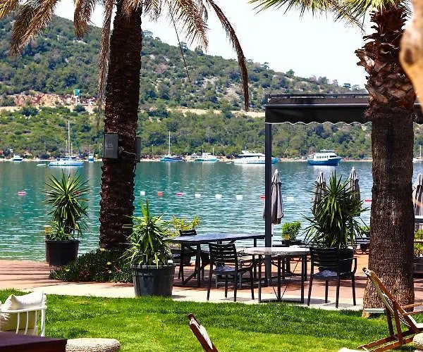 Hotell Moyo Luxury &