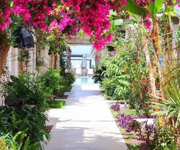 Moyo Luxury & 3* Bodrum