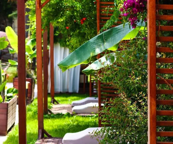 Moyo Luxury & Bodrum