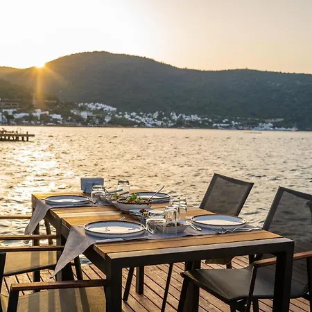 Szálloda Moyo Luxury & 3*