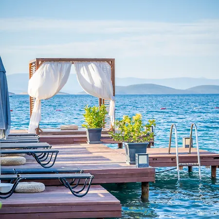 Hotel Moyo Luxury & 3*