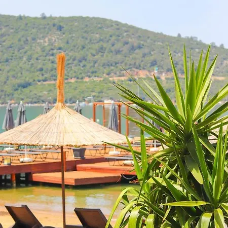 Moyo Luxury & Hotel