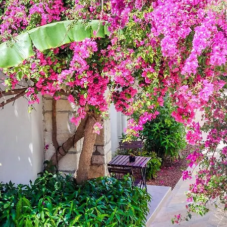 Szálloda Moyo Luxury &