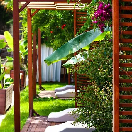 Moyo Luxury & Bodrum