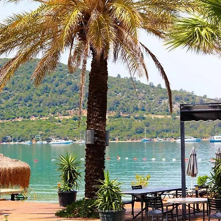 Moyo Luxury & Αλικαρνασσός