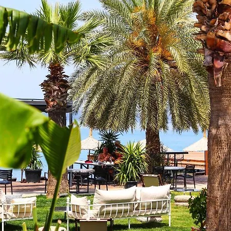 Moyo Luxury & Αλικαρνασσός