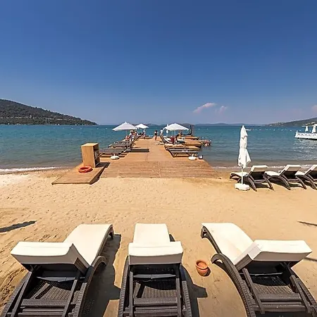 Moyo Luxury &