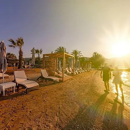 Moyo Luxury & Hotell