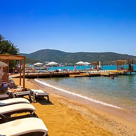 Hotell Moyo Luxury & 3*