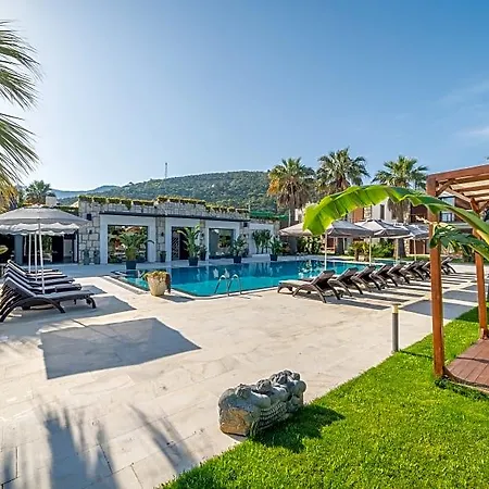 Moyo Luxury & Hotell 3*