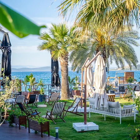 Отель Moyo Luxury & 3*