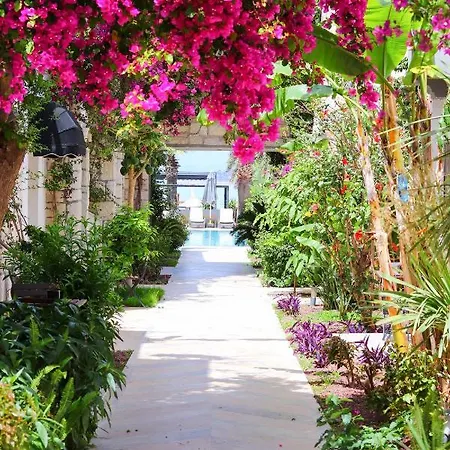 Moyo Luxury & 3* Αλικαρνασσός