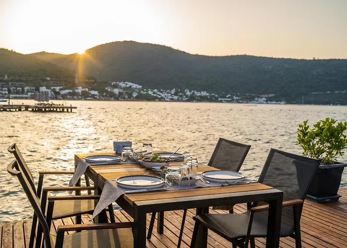 Отель Moyo Luxury & 3*