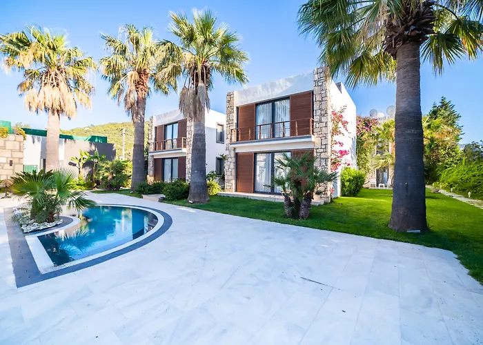 Отель Moyo Luxury & 3*