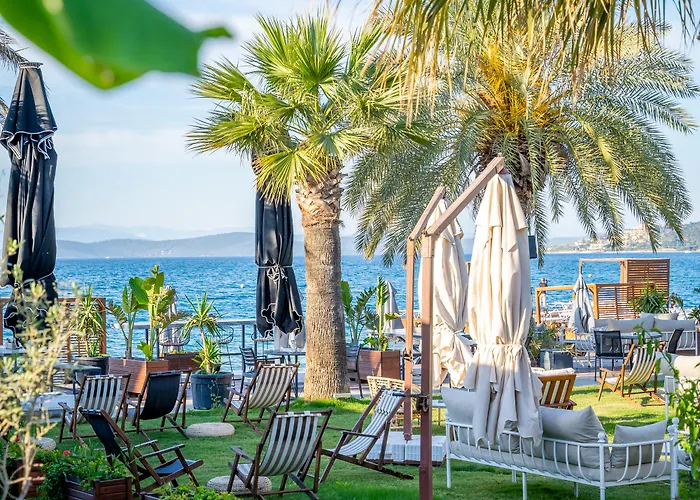 Отель Moyo Luxury & 3*