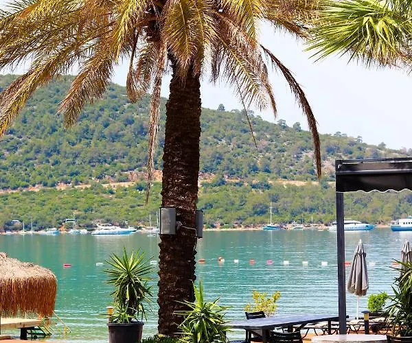 Moyo Luxury & Bodrum