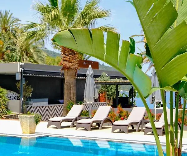 ホテル Moyo Luxury & 3*